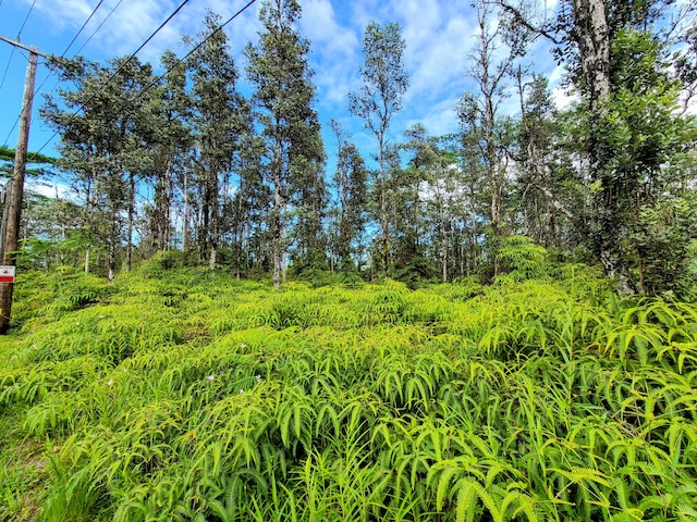 Kehau Rd, Pahoa, HI 96778 - photo 8