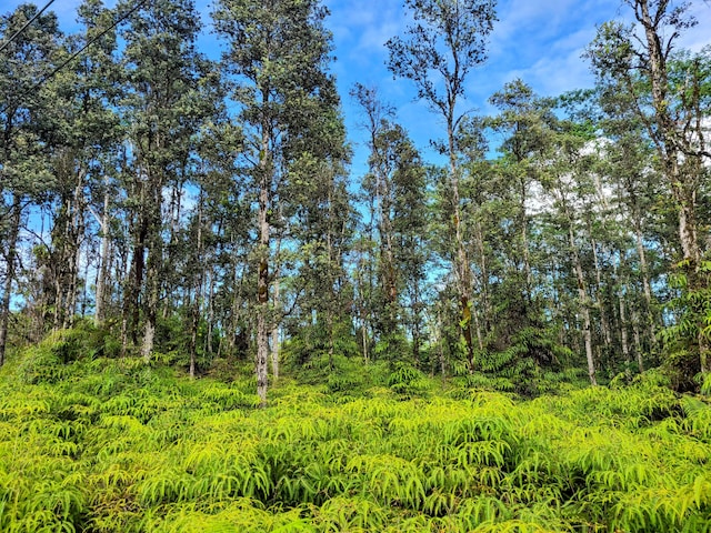 Kehau Rd, Pahoa, HI 96778 - photo 9