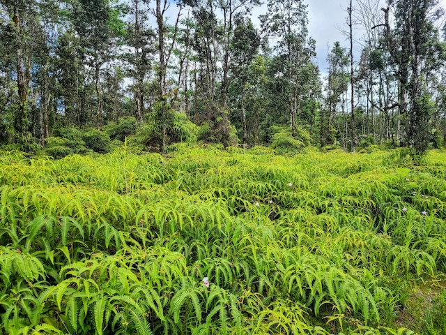 Kehau Rd, Pahoa, HI 96778 - photo 10
