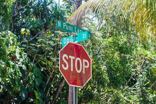 15-2761 Opihi St, Pahoa, HI 96778