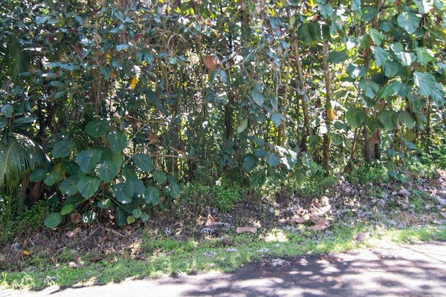 15-2761 Opihi St, Pahoa, HI 96778