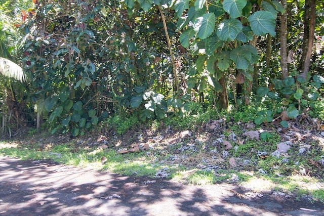 15-2761 Opihi St, Pahoa, HI 96778