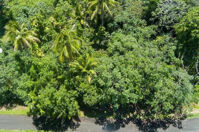 15-2761 Opihi St, Pahoa, HI 96778