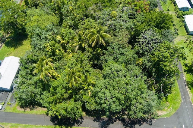 15-2761 Opihi St, Pahoa, HI 96778