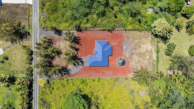 15-1698 5th Ave, Keaau, HI 96749 - bird's eye view