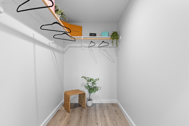 15-1698 5th Ave, Keaau, HI 96749 - spacious closet featuring light wood-type flooring