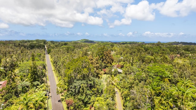 13-3401 Alapai St, Pahoa, HI 96778 - bird's eye view of a forest
