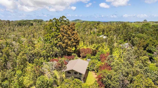 13-3401 Alapai St, Pahoa, HI 96778 - view from above of property with a forest