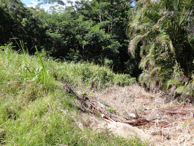 Kalaheo Dr, Kalaheo, HI 96741