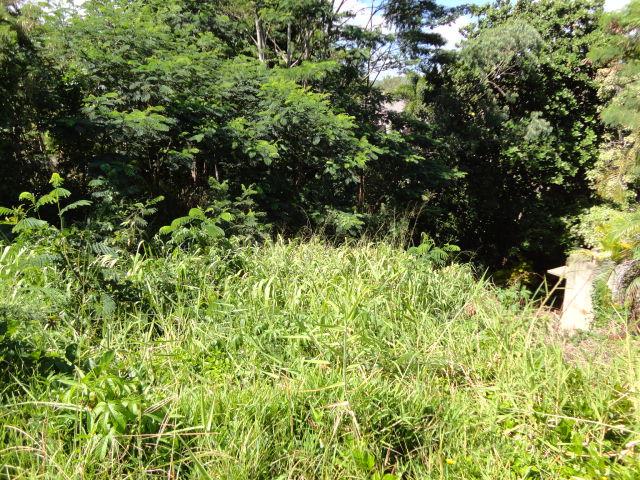 Kalaheo Dr, Kalaheo, HI 96741