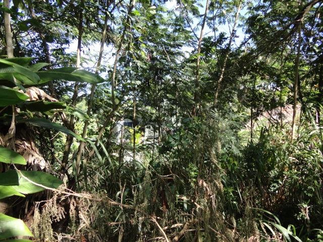 Kalaheo Dr, Kalaheo, HI 96741