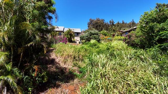 Kalaheo Dr, Kalaheo, HI 96741 - photo 3