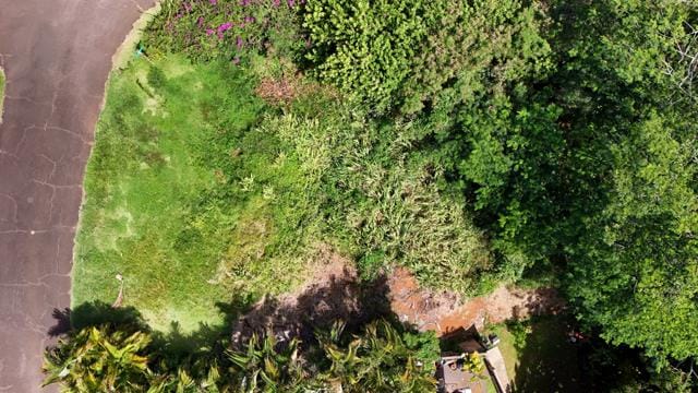 Kalaheo Dr, Kalaheo, HI 96741 - photo 8