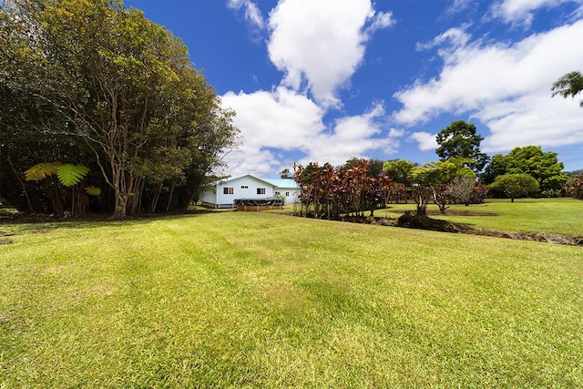 18-3351 Glenwood Rd, Volcano, HI 96785 - photo 15