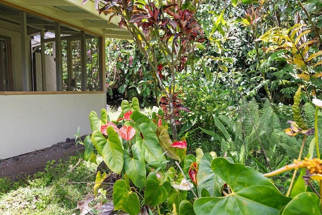 14-3342 Kaululaau Rd Unit 3, Pahoa, HI 96778 - exterior view