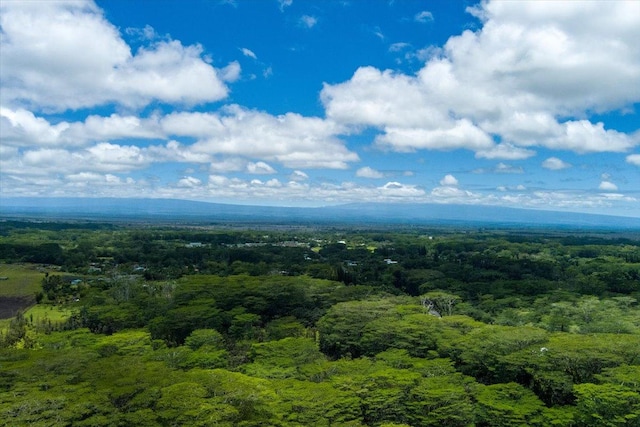 14-3342 Kaululaau Rd Unit 3, Pahoa, HI 96778 - drone / aerial view of a heavily wooded area