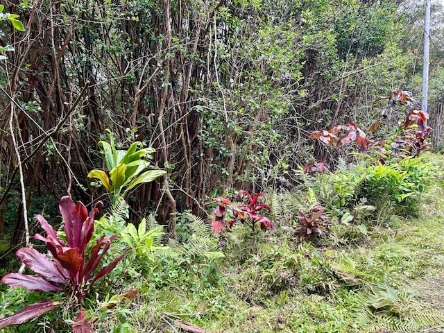 Molokai St, Pahoa, HI 96778 - photo 5