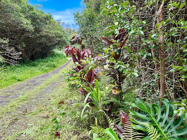 Molokai St, Pahoa, HI 96778 - photo 1