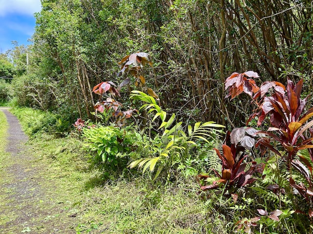 Molokai St, Pahoa, HI 96778 - photo 12