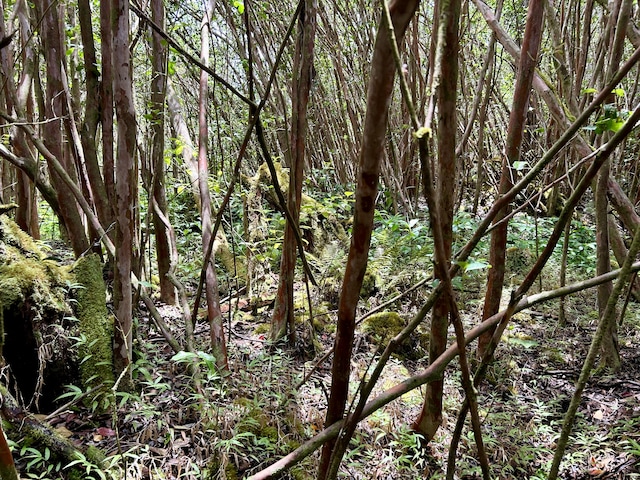 Molokai St, Pahoa, HI 96778 - photo 8