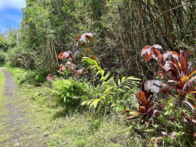 Molokai St, Pahoa, HI 96778 - photo 9