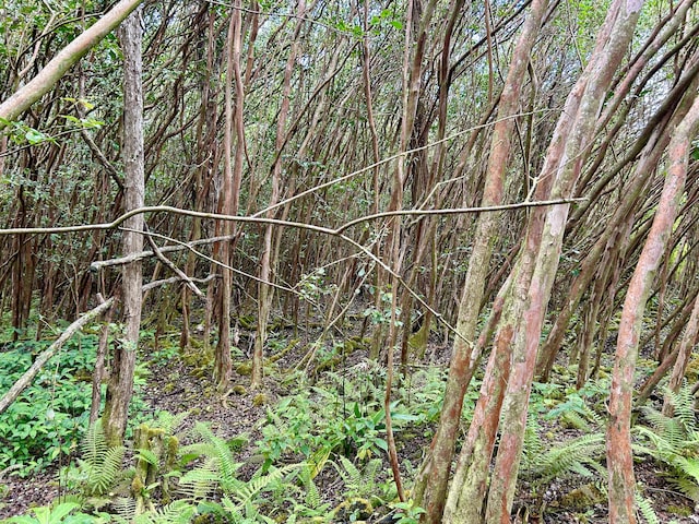 Molokai St, Pahoa, HI 96778 - photo 10