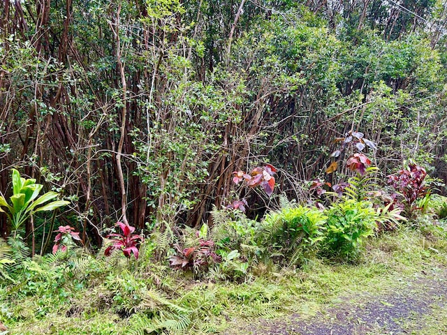 Molokai St, Pahoa, HI 96778 - photo 11
