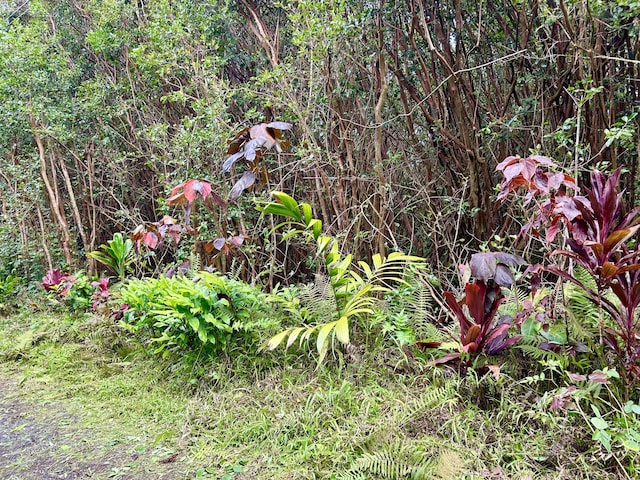 Molokai St, Pahoa, HI 96778 - photo 16