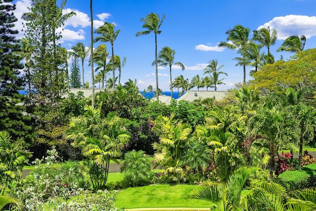 3811 Edward Rd Unit 3304, Princeville, HI 96722 - surrounding community with a yard