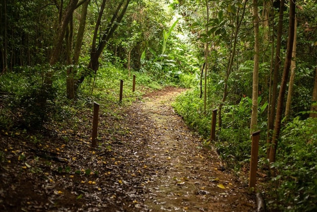 3811 Edward Rd Unit 3304, Princeville, HI 96722 - view of wooded area
