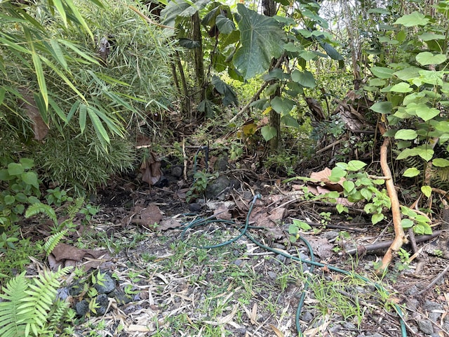 Kahakai Blvd, Pahoa, HI 96778