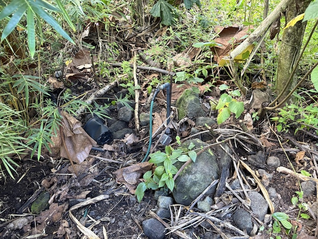 Kahakai Blvd, Pahoa, HI 96778