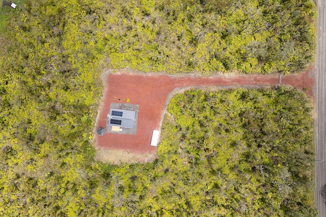 11-2647 Kaleponi Dr, Volcano, HI 96785 - photo 20