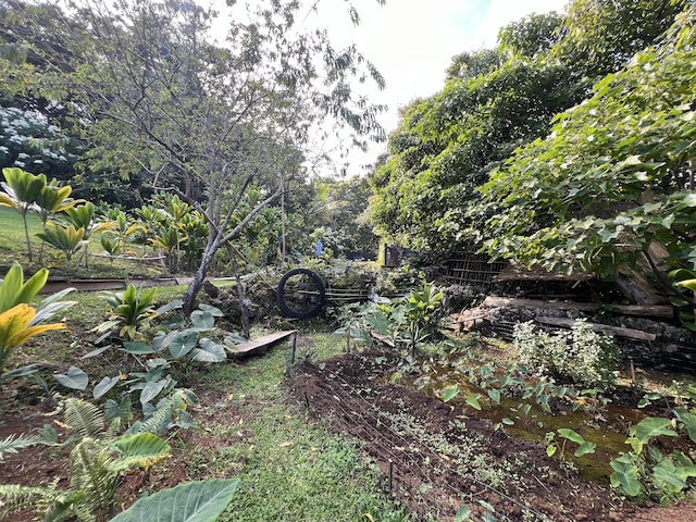 48-5443 Kukuihaele Rd, Honokaa, HI 96727 - photo 27