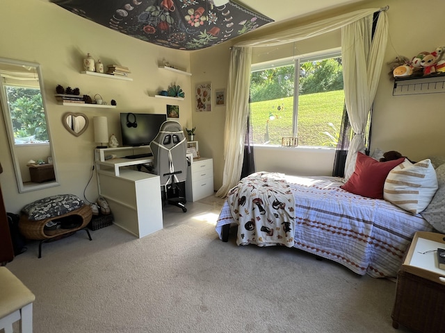48-5443 Kukuihaele Rd, Honokaa, HI 96727 - photo 16