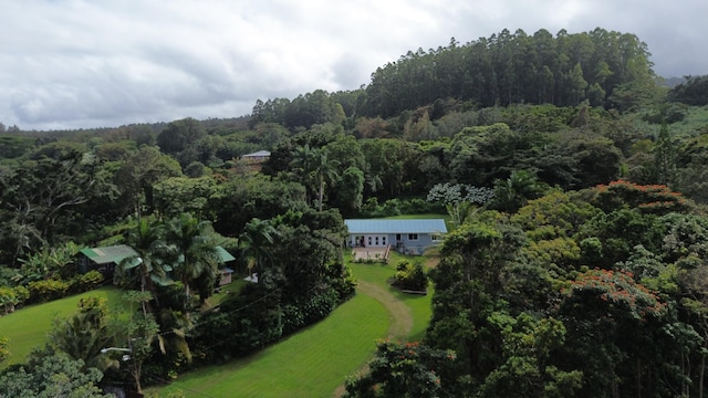 48-5443 Kukuihaele Rd, Honokaa, HI 96727 - photo 2