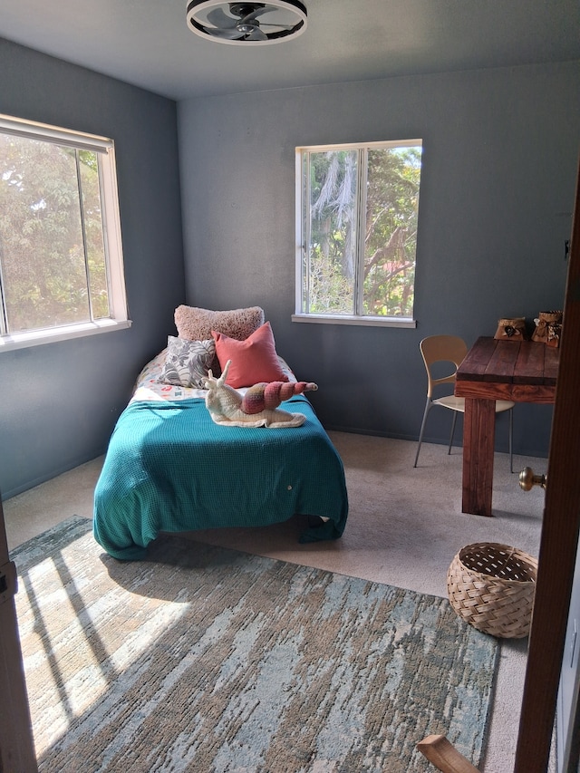 48-5443 Kukuihaele Rd, Honokaa, HI 96727 - photo 18