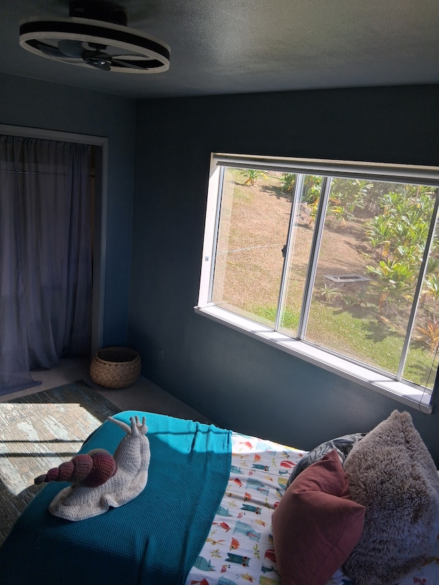 48-5443 Kukuihaele Rd, Honokaa, HI 96727 - photo 19