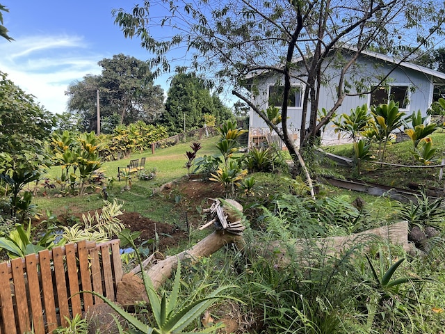48-5443 Kukuihaele Rd, Honokaa, HI 96727 - photo 25