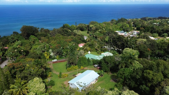 48-5443 Kukuihaele Rd, Honokaa, HI 96727 - photo 4