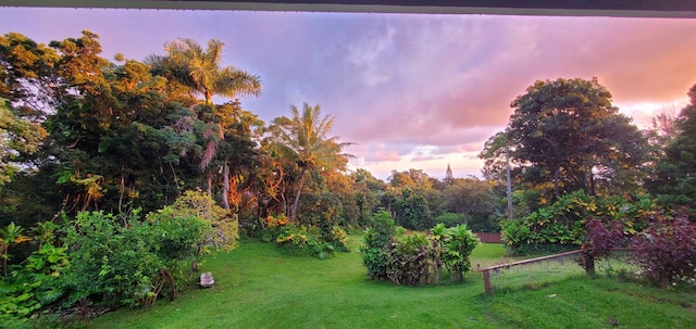 48-5443 Kukuihaele Rd, Honokaa, HI 96727 - photo 3