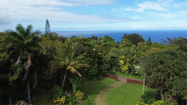 48-5443 Kukuihaele Rd, Honokaa, HI 96727 - photo 5