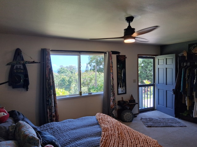 48-5443 Kukuihaele Rd, Honokaa, HI 96727 - photo 12