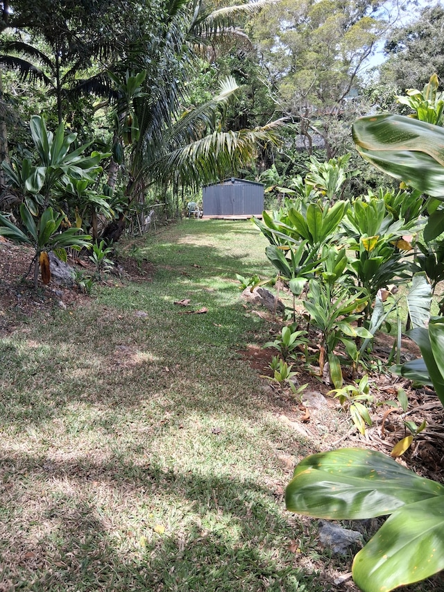 48-5443 Kukuihaele Rd, Honokaa, HI 96727 - photo 28