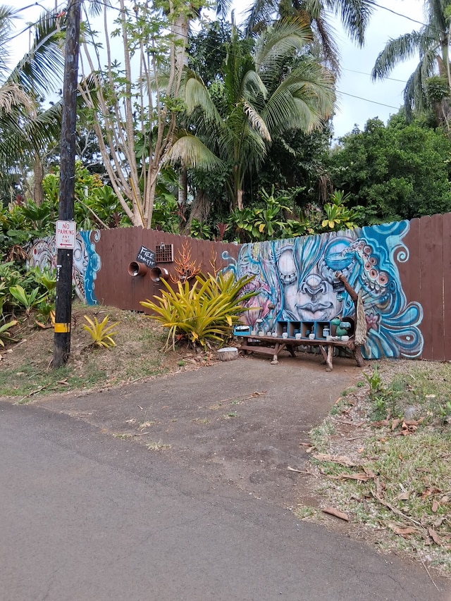 48-5443 Kukuihaele Rd, Honokaa, HI 96727 - photo 30