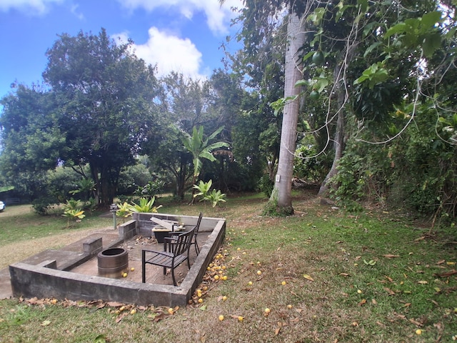 48-5443 Kukuihaele Rd, Honokaa, HI 96727 - photo 26