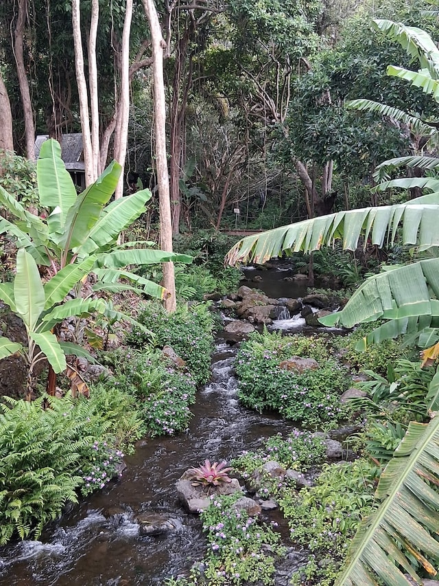 48-5443 Kukuihaele Rd, Honokaa, HI 96727 - photo 29