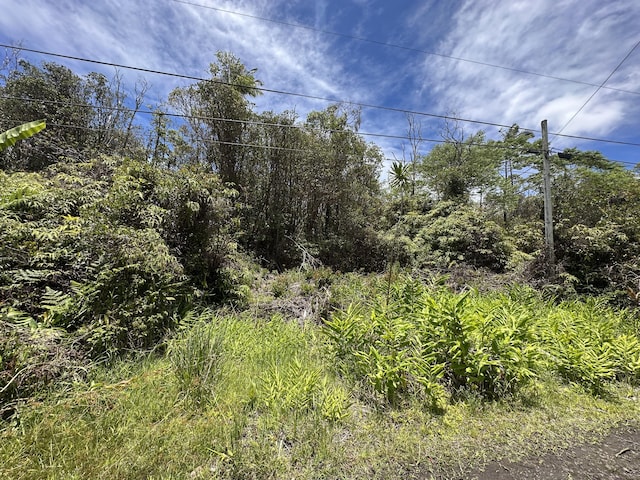 Oahu St, Mountain View, HI 96771