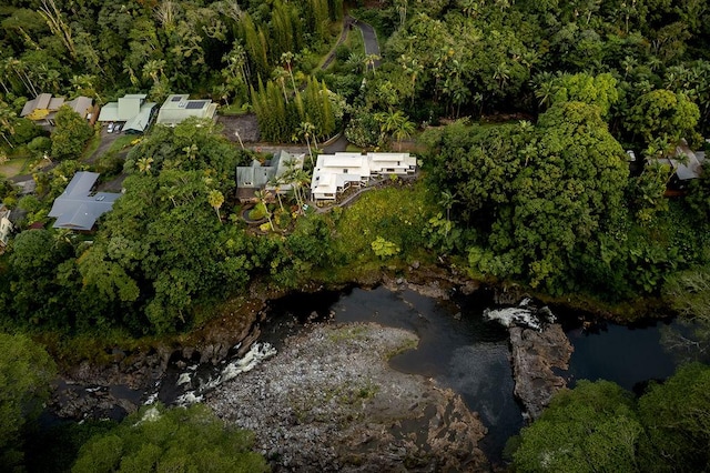 282 Kaiulani St, Hilo, HI 96720 - photo 26