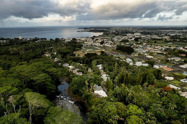 282 Kaiulani St, Hilo, HI 96720 - photo 28